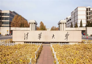 清華大學(xué)攻破芯片數(shù)據(jù)恢復(fù)技術(shù)難題，存儲(chǔ)芯片首次實(shí)現(xiàn)“診療一體化”