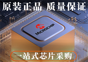MICROCHIP微芯PIC18F14K50T-I/SS單片機(jī)的中文參數(shù)、應(yīng)用領(lǐng)域和功能特點(diǎn)